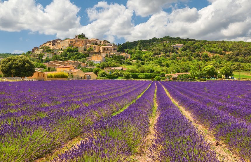 Little town on a hill with a lavender field.